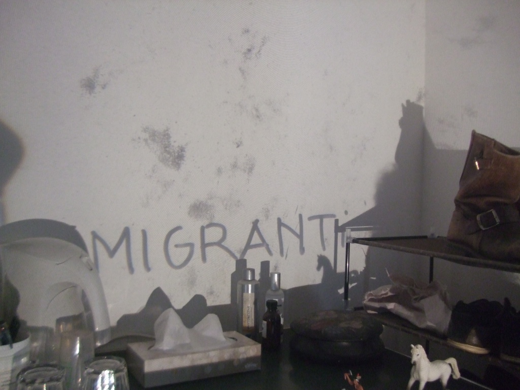Migranti installazione