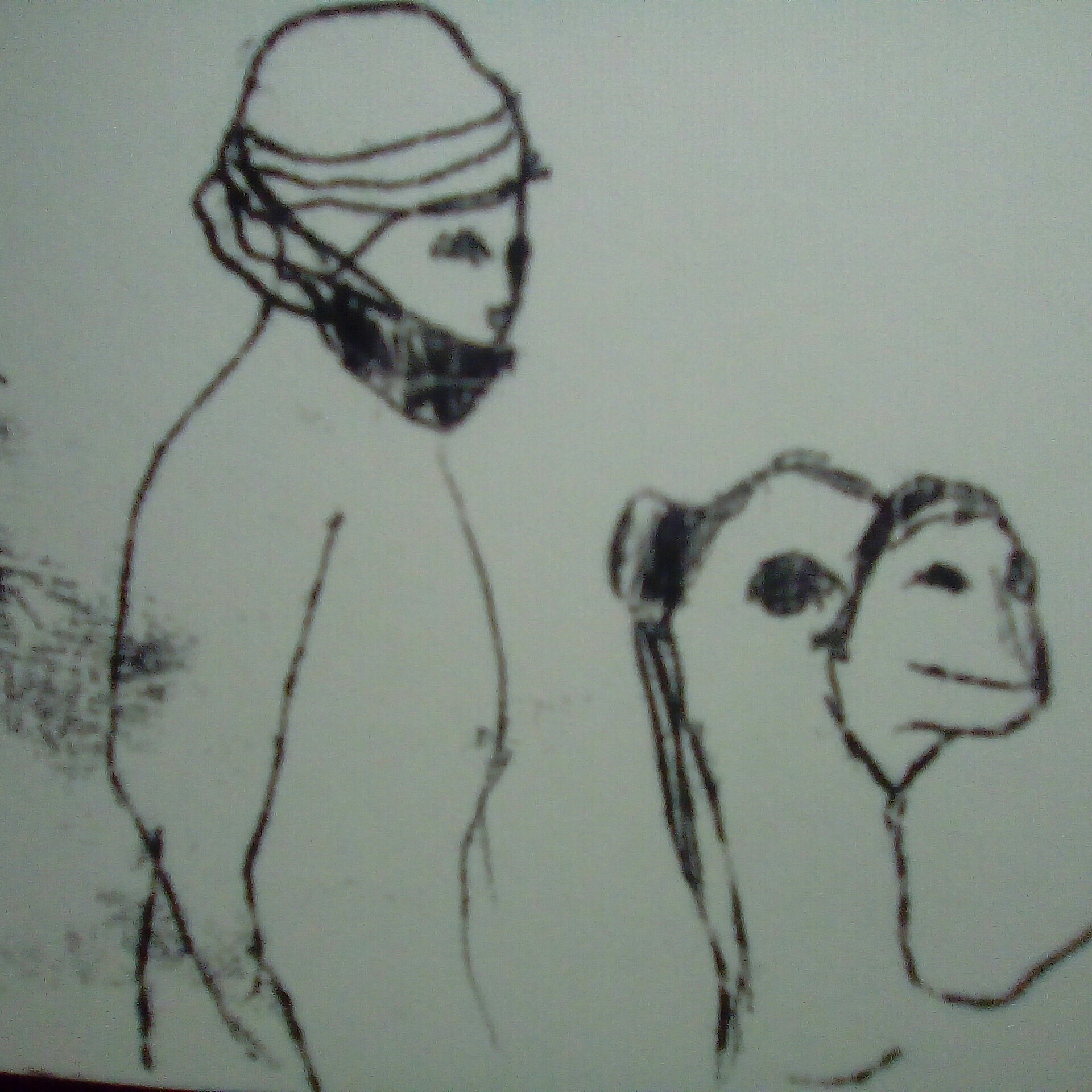 Camel Egypt storyboard